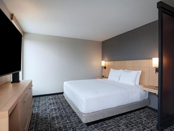 Hyatt Place Austin Lake Travis/Four Points : photo 6 de la chambre chambre lit king-size avec canapé-lit