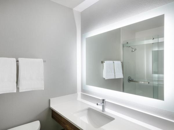 Holiday Inn Express & Suites Colorado Springs-Airport, an IHG Hotel : photo 4 de la chambre suite 1 chambre lit king-size