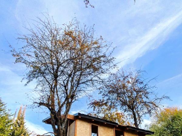 Hostel Los Coihues : photo 9 de la chambre maisonnette