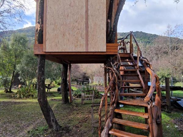 Hostel Los Coihues : photo 7 de la chambre maisonnette