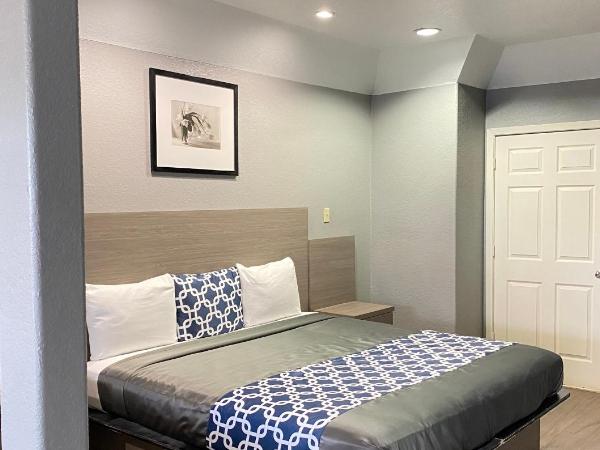 Island Suites Hobby Airport : photo 5 de la chambre suite lit king-size avec jacuzzi