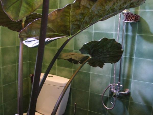 Rumah Sawah : photo 4 de la chambre chambre lits jumeaux standard