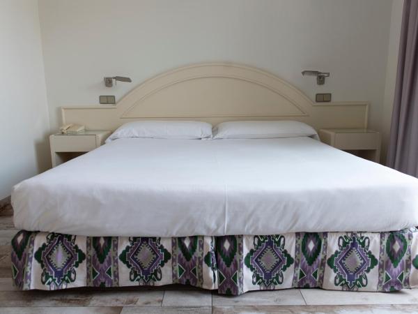 Hotel Palacio del Mar : photo 2 de la chambre chambre simple