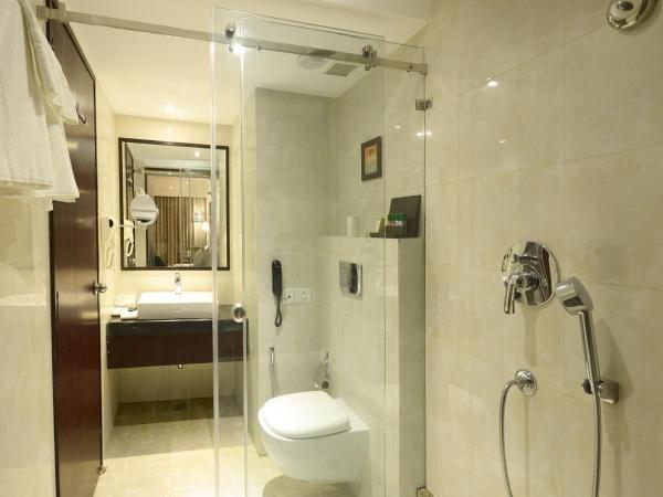 Fern Residency Jodhpur : photo 3 de la chambre chambre double ou lits jumeaux verte hiver