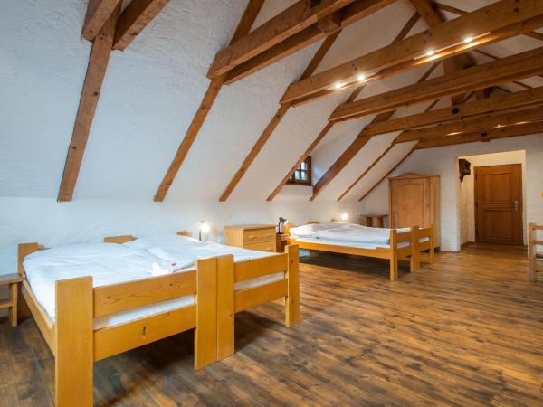 Hotel U Malého Vitka : photo 3 de la chambre chambre quadruple