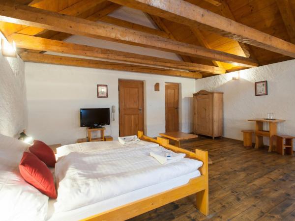 Hotel U Malého Vitka : photo 5 de la chambre chambre lits jumeaux