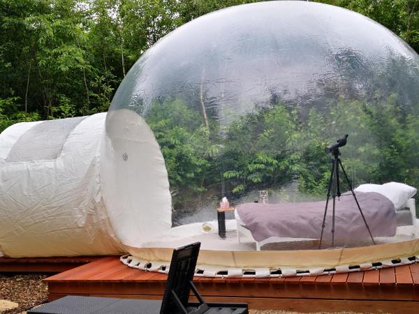 W BAŃCE Glamping : photo 9 de la chambre tente