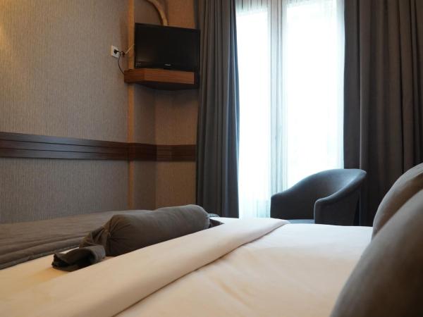 Bern Hotel : photo 4 de la chambre chambre double ou lits jumeaux standard