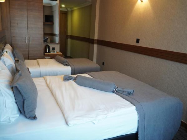 Bern Hotel : photo 4 de la chambre chambre familiale