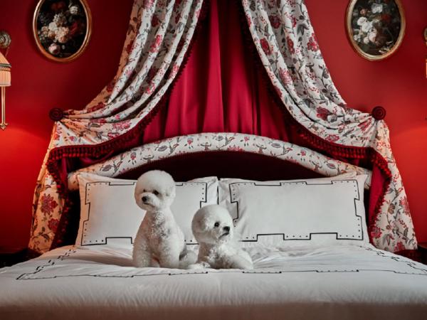 L'Escape Hotel : photo 1 de la chambre chambre attribué à l'arrivée - animaux domestiques admis