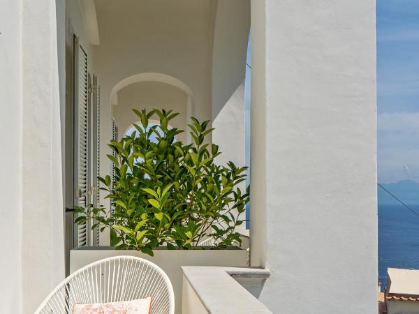 Villa La Pergola Capri : photo 7 de la chambre chambre double deluxe - vue sur mer