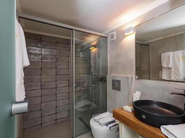 Thalassa Boutique Hotel : photo 7 de la chambre suite en duplex - vue sur piscine