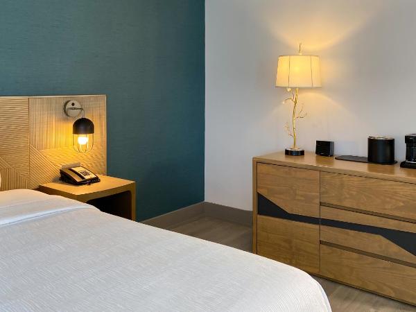 Marseilles Beachfront Hotel : photo 6 de la chambre chambre lit king-size classique