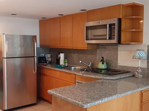 Manhattan Tower Apartment Hotel : photo 4 de la chambre studio avec vue sur jardin