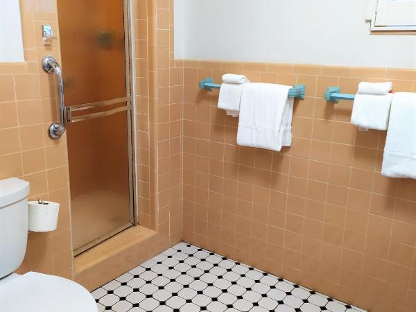 Manhattan Tower Apartment Hotel : photo 6 de la chambre appartement 1 chambre - vue sur jardin - 108