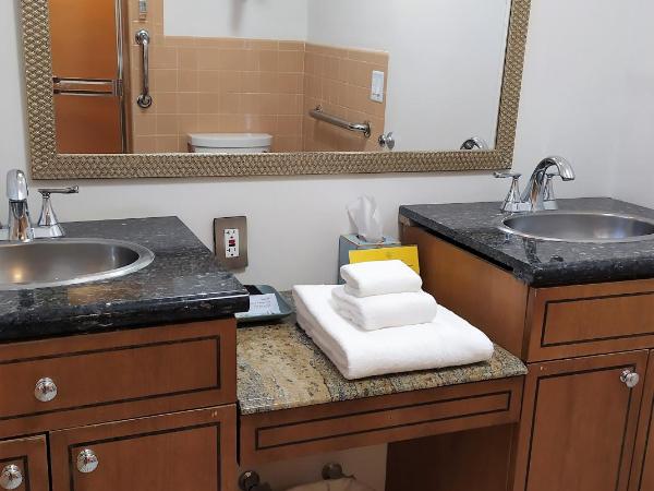 Manhattan Tower Apartment Hotel : photo 8 de la chambre appartement 1 chambre - vue sur jardin - 108