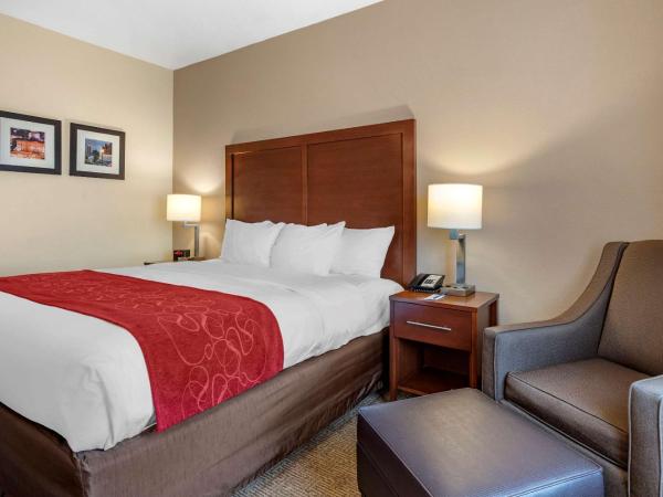 Comfort Suites Columbus West - Hilliard : photo 2 de la chambre chambre lit king-size - accessible aux personnes à mobilité réduite/non-fumeurs