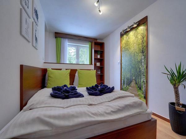 Safir przy samym WYCIĄGU : photo 1 de la chambre chambre simple Économique