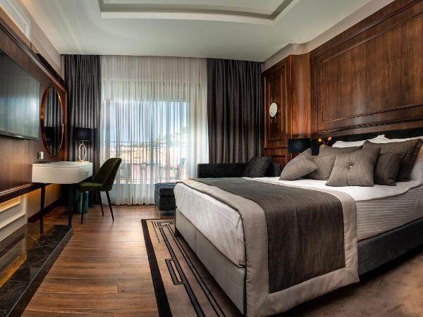 TNR Otel & Spa : photo 1 de la chambre chambre deluxe