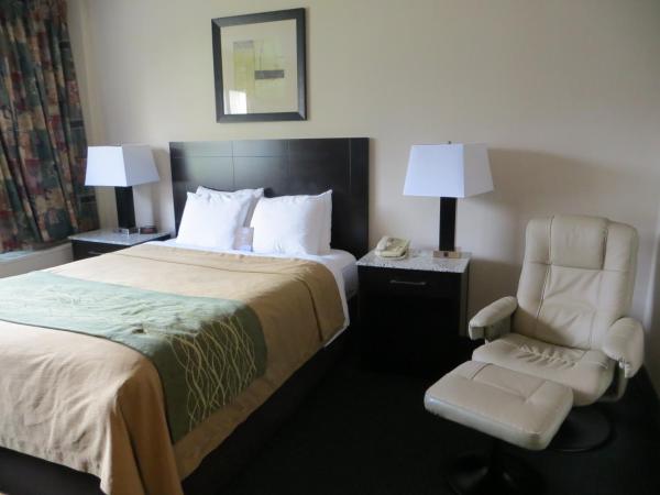 Comfort Inn & Suites : photo 5 de la chambre chambre lit queen-size - non-fumeurs