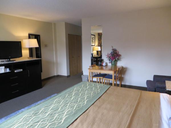 Comfort Inn & Suites : photo 4 de la chambre chambre lit king-size - non-fumeurs