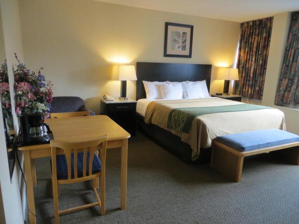 Comfort Inn & Suites : photo 6 de la chambre chambre lit king-size - non-fumeurs