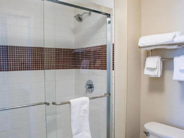 Staybridge Suites Denver Downtown, an IHG Hotel : photo 1 de la chambre suite studio queen