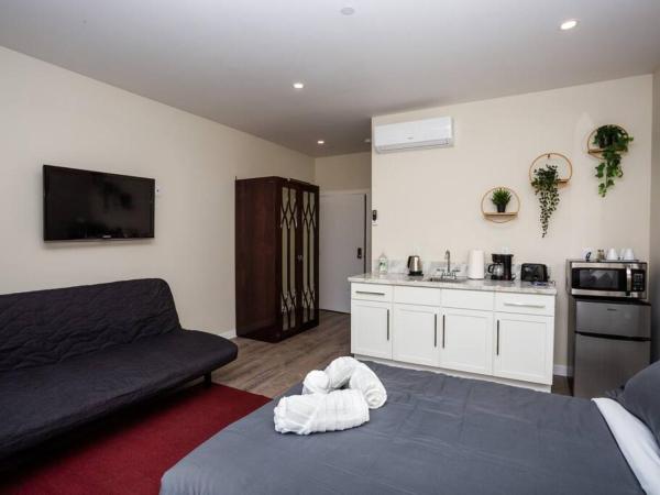 Steps to Balboa Park- Brand New Apt - Cozy Studio : photo 2 de la chambre appartement