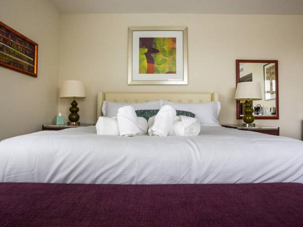 Modern, Luxurious and Prime location All in One : photo 6 de la chambre studio