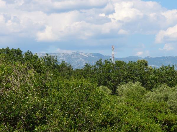 Pansion Comfort Sidro : photo 8 de la chambre chambre double avec terrasse - vue sur montagne