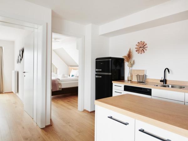 HOMEBOUND APARTMENTS Salzburg City I - contactless check-in : photo 4 de la chambre appartement 2 chambres avec climatisation