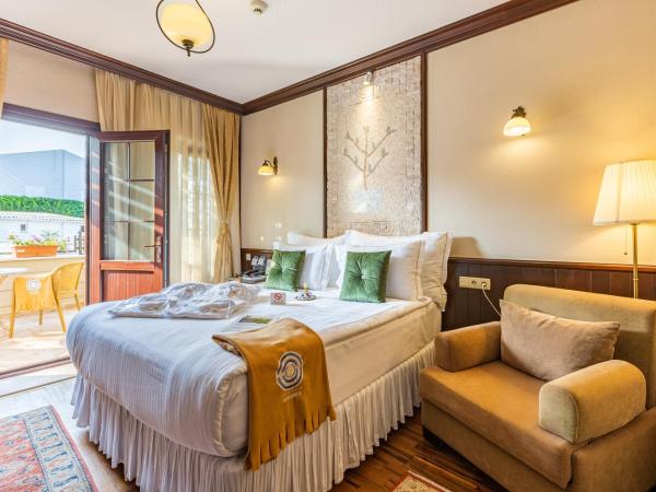 Best Point Hotel-Old City Sultanahmet : photo 7 de la chambre chambre double supérieure avec terrasse - 15 m²