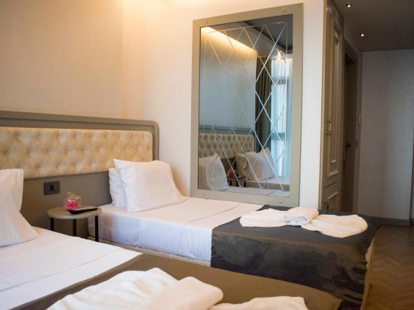 Mayer Hotel Istanbul : photo 5 de la chambre chambre double standard