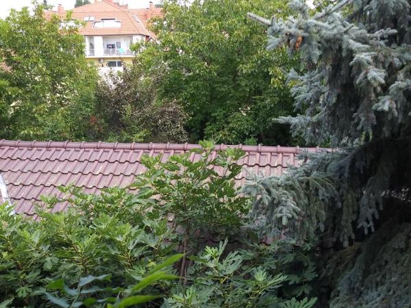 Balogh vendegház : photo 3 de la chambre chambre lits jumeaux avec balcon