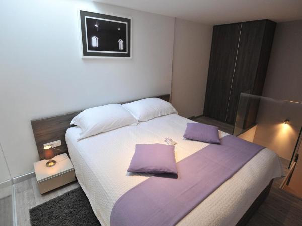 Apartments & Rooms Lavandula Exclusive : photo 1 de la chambre studio duplex