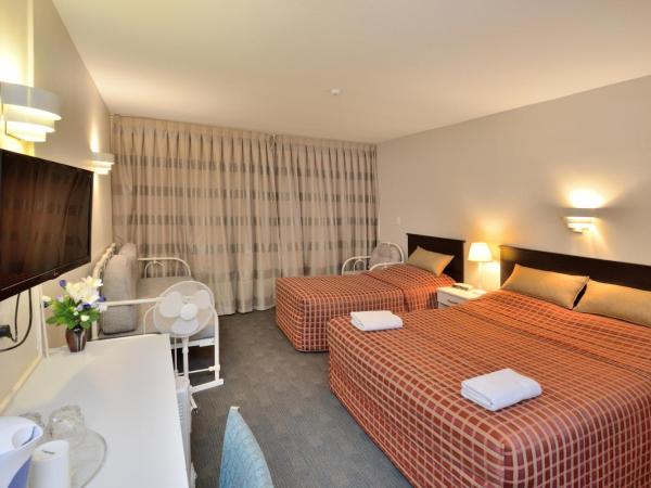 Allenby Park Hotel : photo 1 de la chambre studio Économique