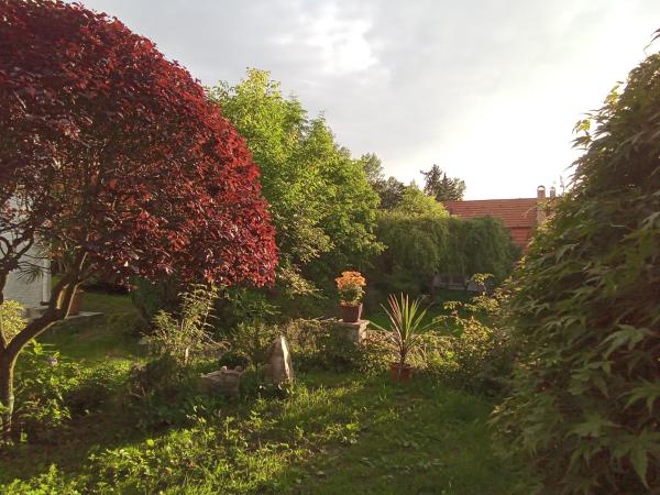 Pension Baron Schoeneck : photo 10 de la chambre suite 2 chambres