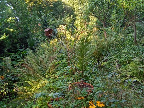 Pension Baron Schoeneck : photo 3 de la chambre suite - vue sur montagne