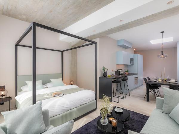 VISIONAPARTMENTS Basel Nauenstrasse - contactless check-in : photo 6 de la chambre appartement