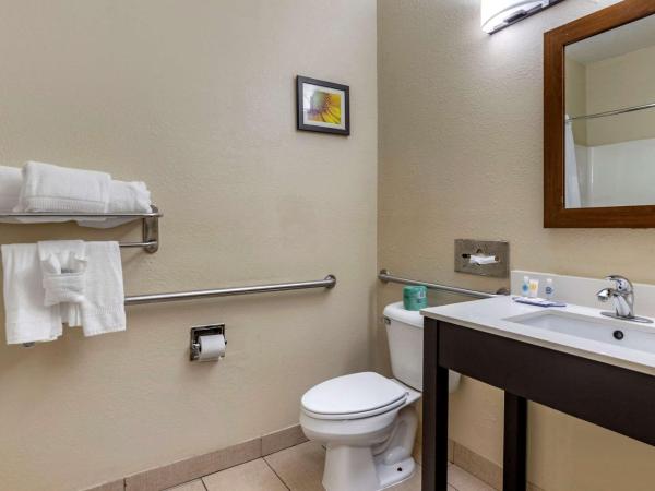 Comfort Inn Oklahoma City South - I-240 : photo 2 de la chambre chambre lit king-size pour personnes à mobilité réduite avec baignoire accessible en fauteuil roulant - non-fumeurs