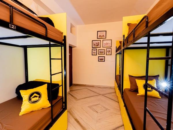 The Hosteller Jodhpur, Old : photo 2 de la chambre lit dans dortoir pour femmes de 6 lits