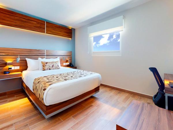 Sleep Inn Queretaro : photo 7 de la chambre chambre lit queen-size - non-fumeurs