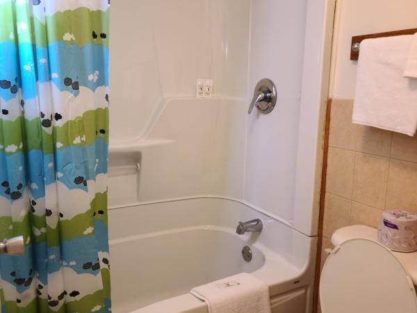 Choice Inn by the falls : photo 8 de la chambre suite lune de miel