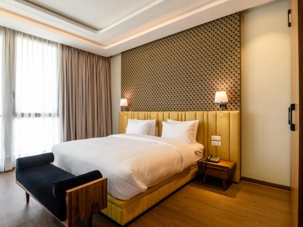 BH Appart Hotel : photo 5 de la chambre studio double standard