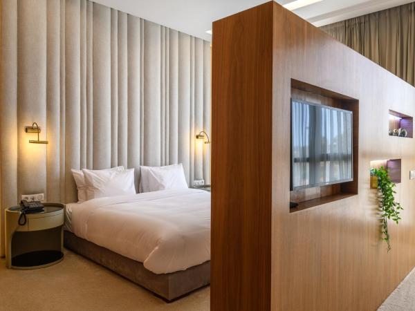 BH Appart Hotel : photo 5 de la chambre studio deluxe