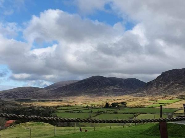 Gorse Hill Glamping : photo 2 de la chambre pod