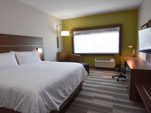 Holiday Inn Express & Suites - Orlando - Southeast, an IHG Hotel : photo 1 de la chambre chambre standard