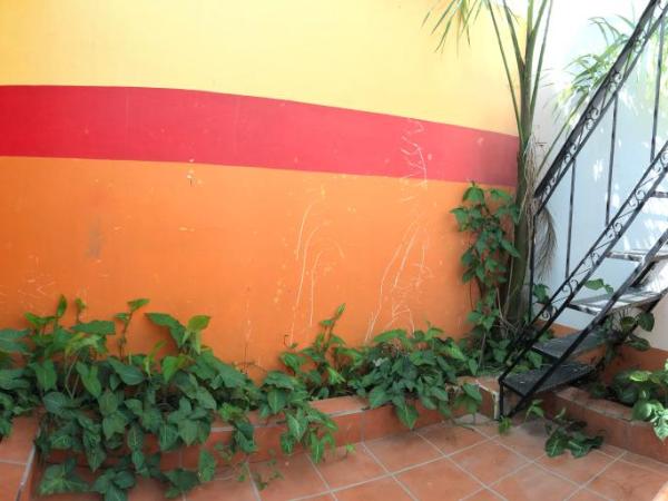 Mini Hostal Cultural de Mazatlán : photo 1 de la chambre lit dans dortoir mixte de 6 lits