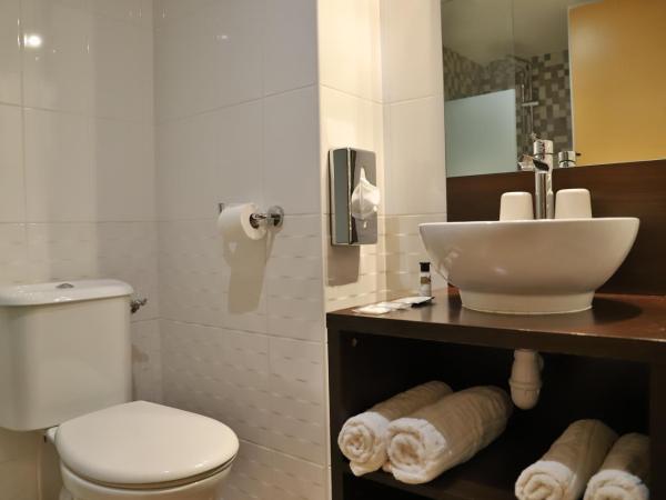 SOWELL HOTELS Mont Blanc et SPA : photo 4 de la chambre chambre lits jumeaux