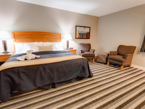 Quality Inn West Edmonton : photo 4 de la chambre chambre lit king-size exécutive - non-fumeurs - douche uniquement